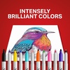 image:imageSharpie Permanent Markers Ultimate Collection Fine and Ultra Fine Points Assorted Colors 115 Count  Classroom Large Pack Office Supplies45 Count
